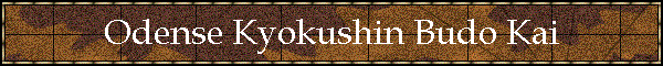 Odense Kyokushin Budo Kai